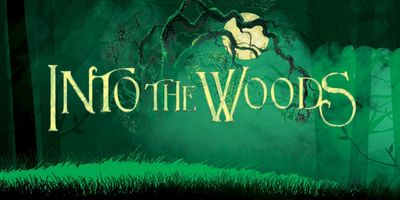Full Cast Set for INTO THE WOODS at Cape Playhouse Photo