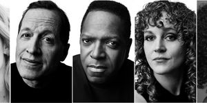Full Cast Set for MR. WOLF Chicago Premiere at Steppenwolf Theatre