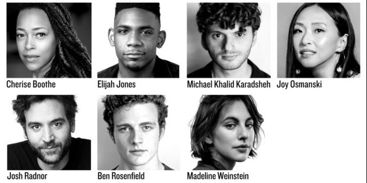 Full Cast Set for THE ALLY at The Public Theater Starring Josh Radnor & More  Image