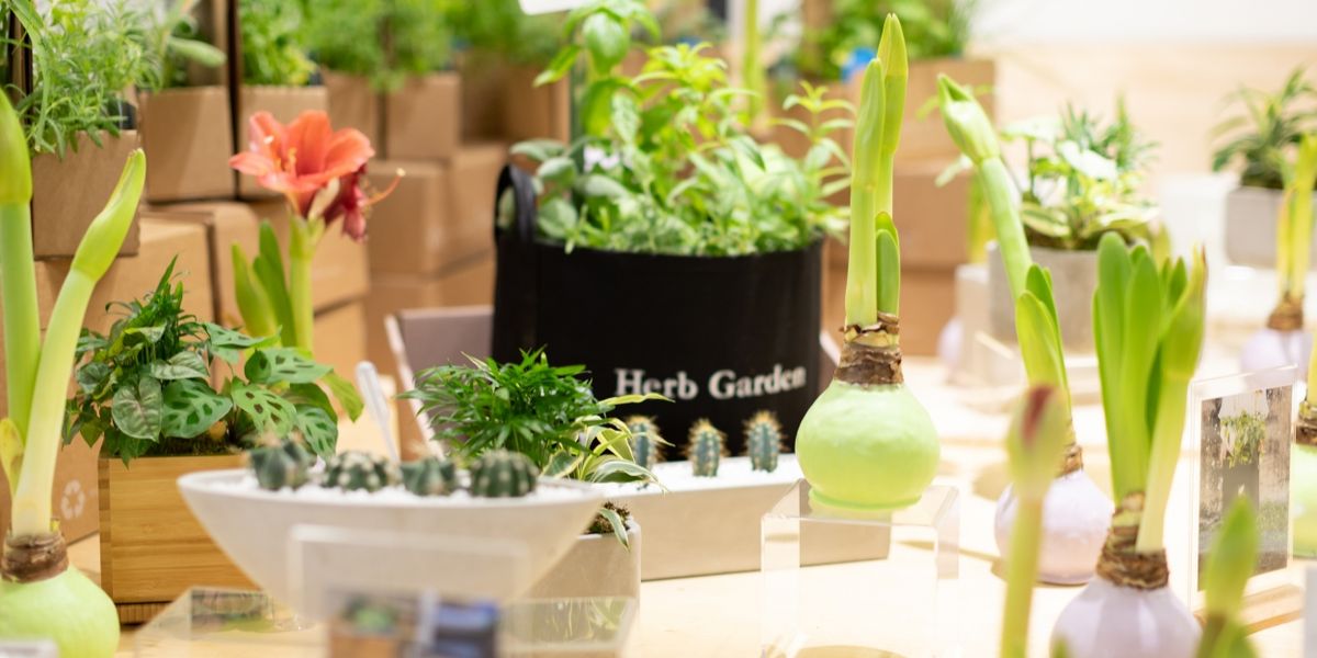 GARDENUITY for the Joy of Gardening Indoors and Outdoors