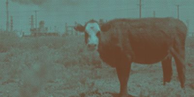 GEONNITUS is Now Playing at Teatro Colon Photo