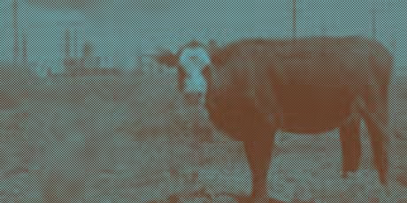 GEONNITUS is Now Playing at Teatro Colon Photo