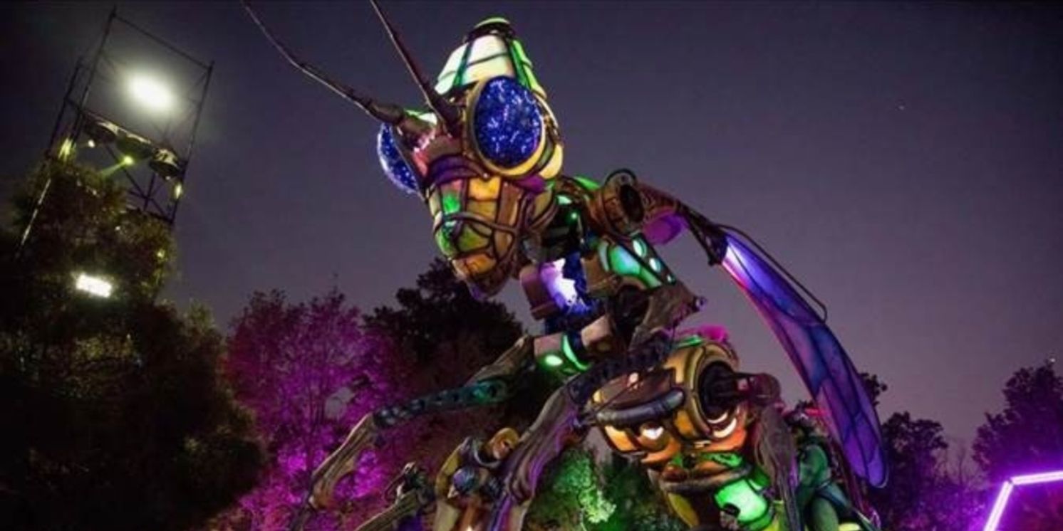 Galway International Arts Festival Reveals Free Street Art Programme  Image