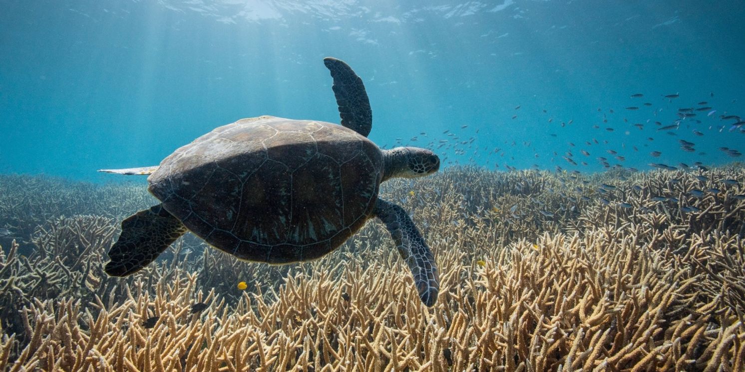 Go Behind The Scenes Of Netflix's LIFE ON OUR PLANET Live At McCarter In May  Image