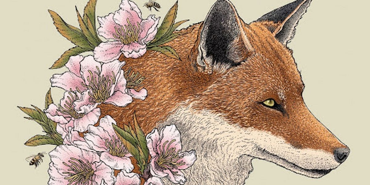 Goose Release 'Live at The Fox Theatre' Ahead of Fall Tour