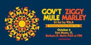 Gov't Mule & Ziggy Marley To Play Barbara B. Mann Performing Arts Hall Photo