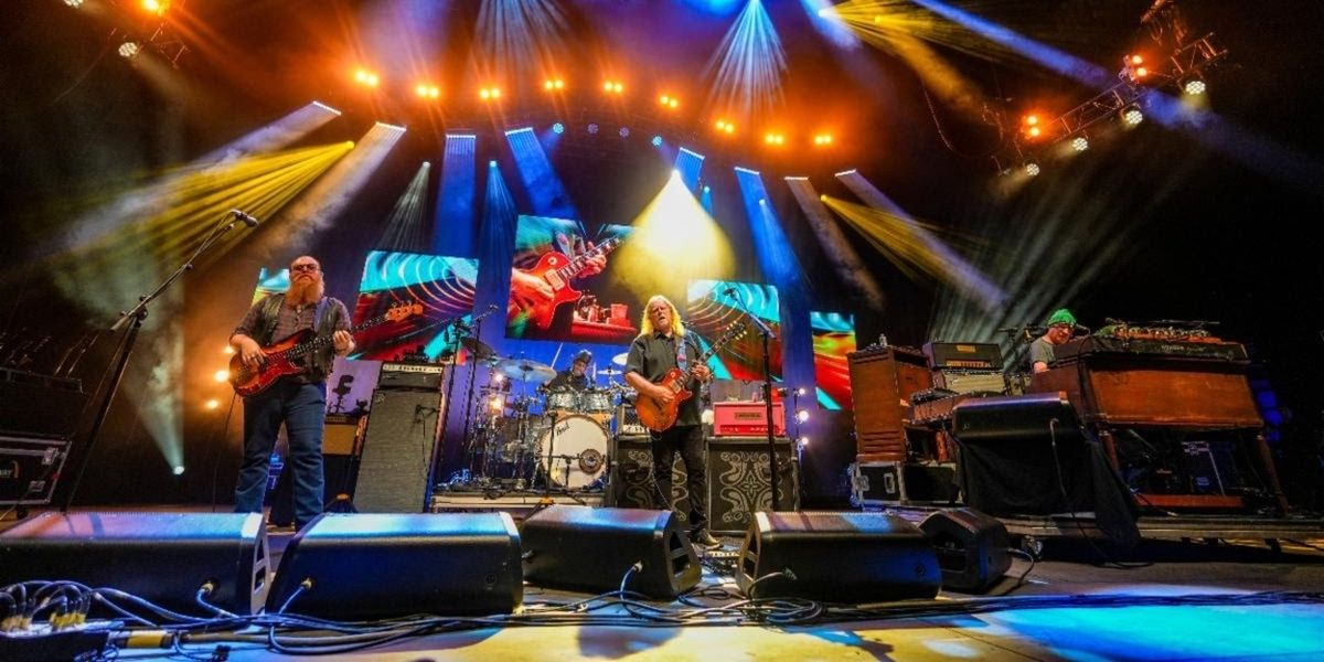 Gov’t Mule and Ziggy Marley to Play 'Dreaming The Same Dream Tour'