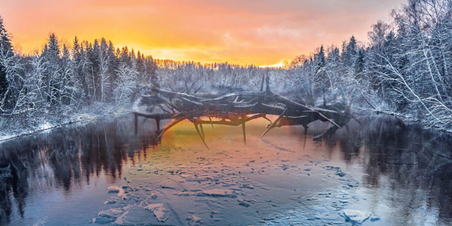 Gloriæ Dei Cantores and Creare Symphonia Present GRANT US PEACE  Image