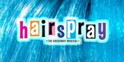 HAIRSPRAY Full Cast Announced at Cape Playhouse Photo