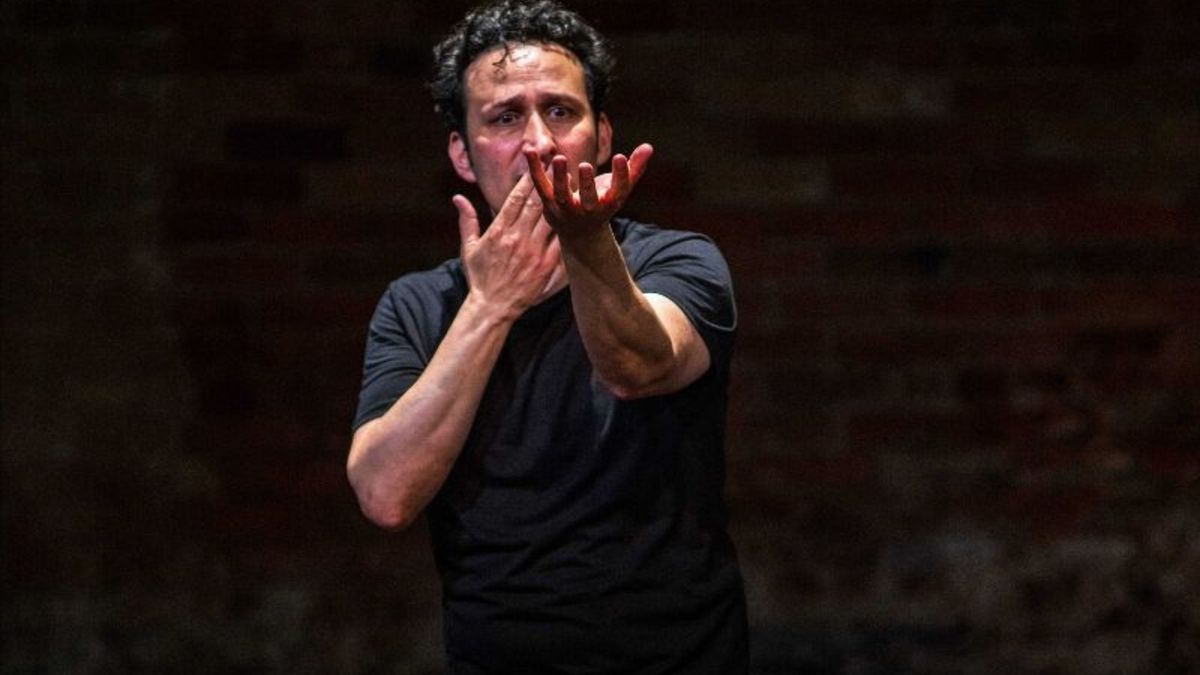 HAMLET (SOLO) to Return to Theatre Passe Muraille as Fundraiser