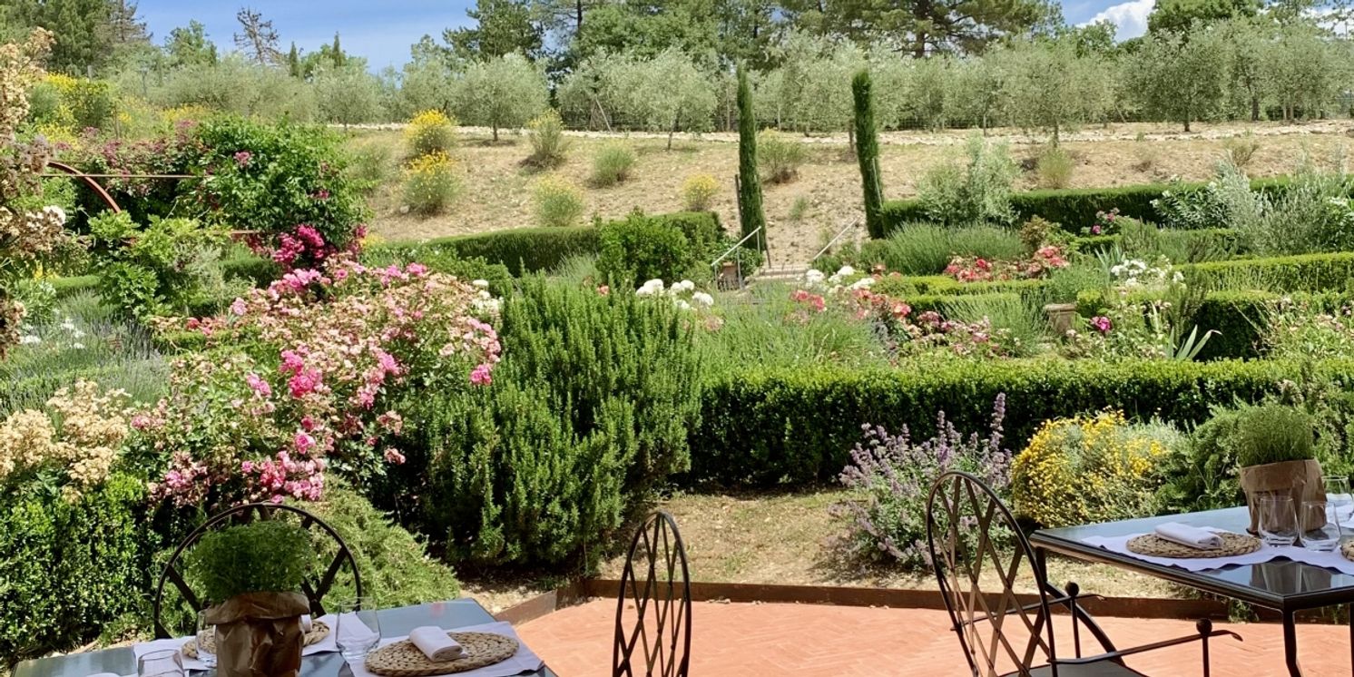 READY TO DRINK BEVERAGES-Perfect for Your Summer Gatherings  Image