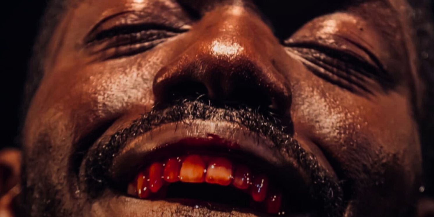 Art House Productions to Present Reimagined HAMLET Directed by C. Rashee Stevenson  Image