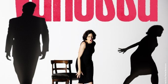 Heartbeat Opera Brings Samuel Barber’s VANESSA To New York Photos