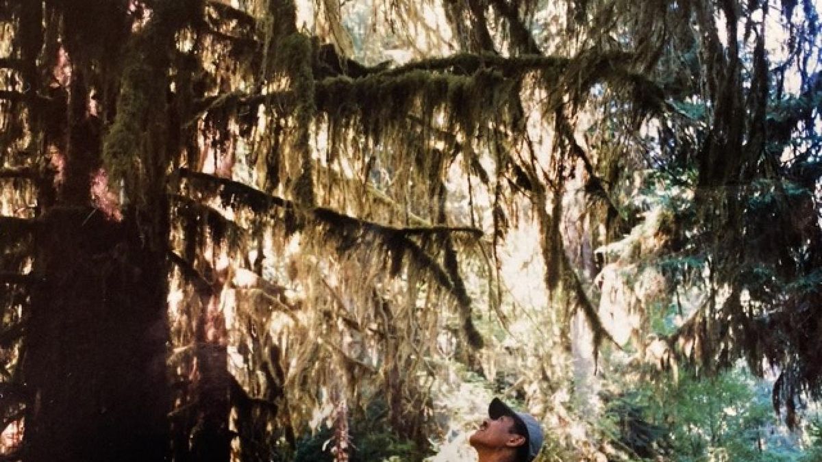 Hiroshi Yoshimura's QUIET FOREST Reissue Shares 'Dancing Creek'