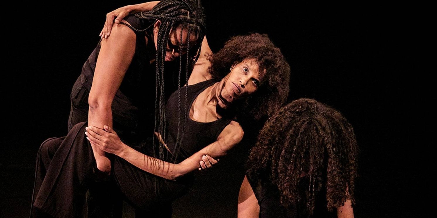 Holland Festival Will Return in June 2026  Image