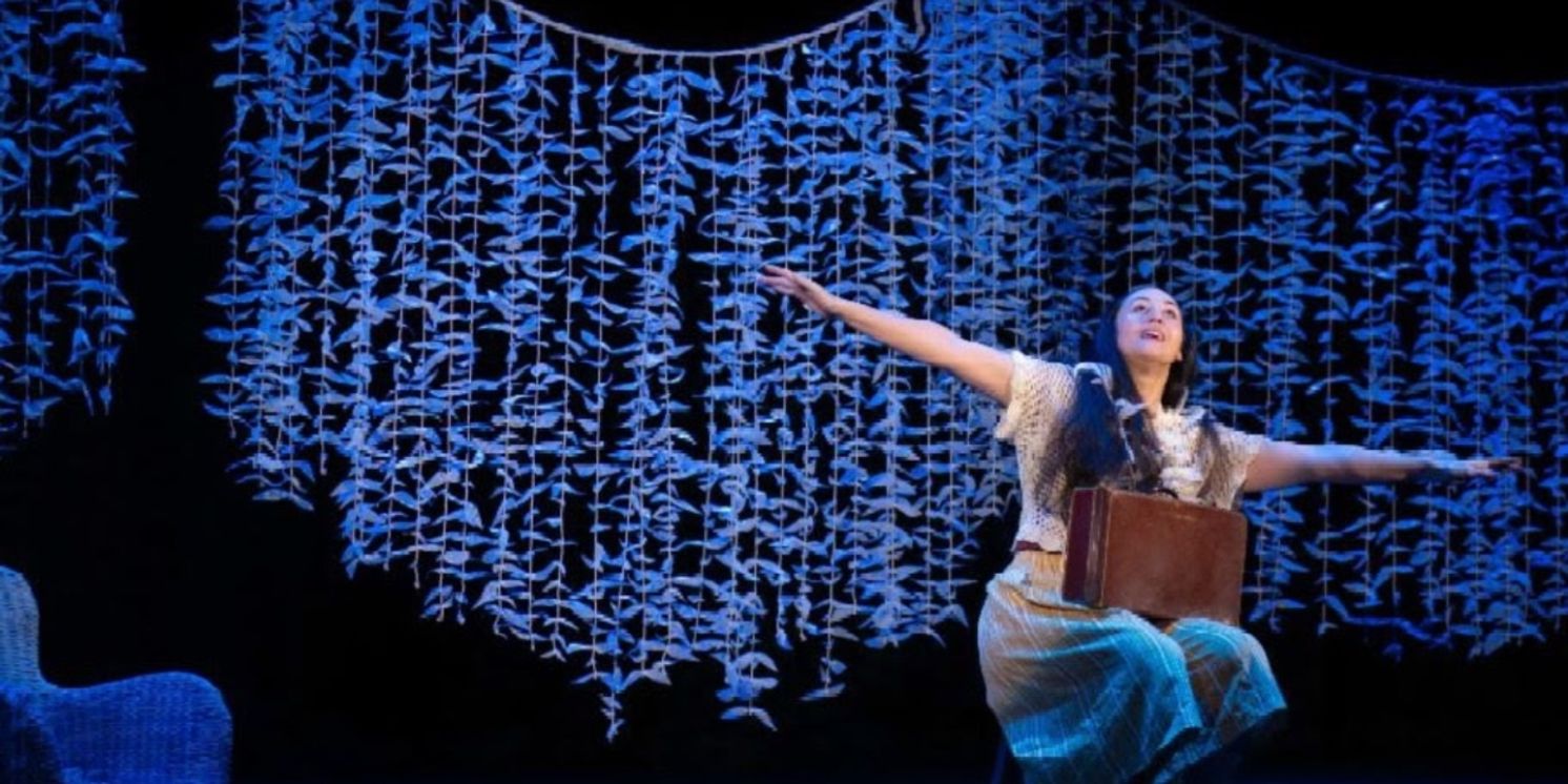 Honolulu Theatre For Youth Reveals 71st Season  Image