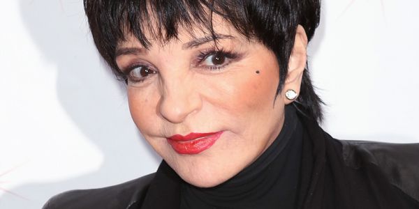 How Liza Minnelli Found a New Audience with ARRESTED DEVELOPMENT Role Photo