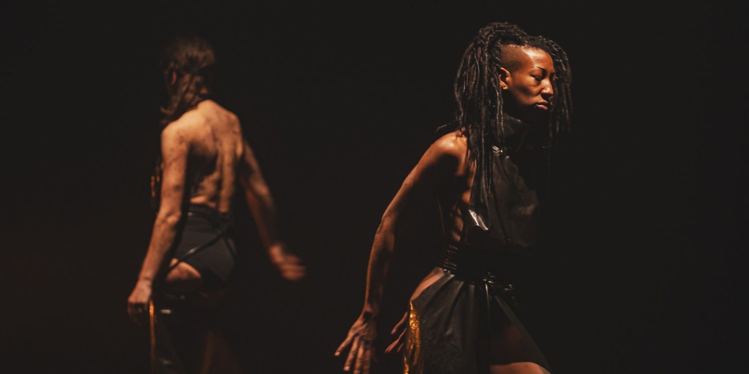 I'VE BEEN LOOKING FOR THINGS THAT LAST Comes To Shoreditch Town Hall in October  Image