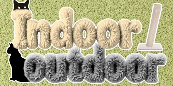 INDOOR/OUTDOOR to be Presented at Little Theatre of Fall River in March Photos