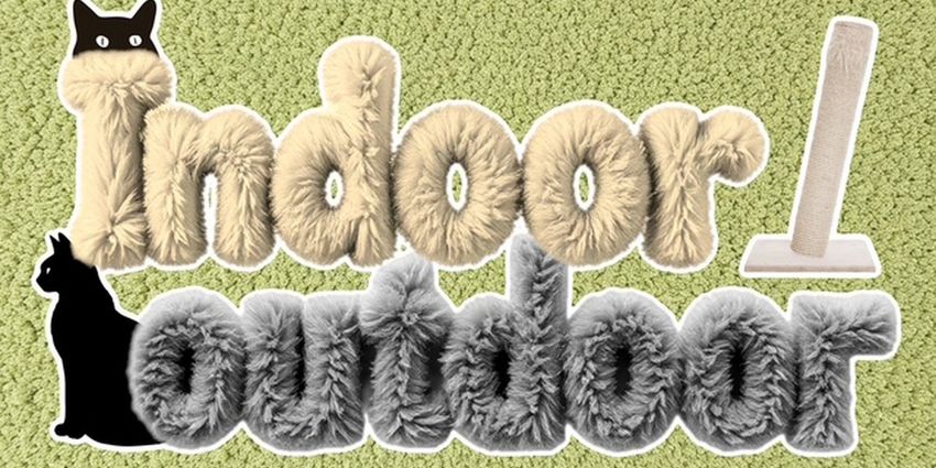 INDOOR/OUTDOOR to be Presented at Little Theatre of Fall River in March Photo