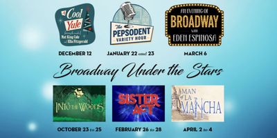 INTO THE WOODS, SISTER ACT and More Set for Desert Theatricals Season 8 Photo