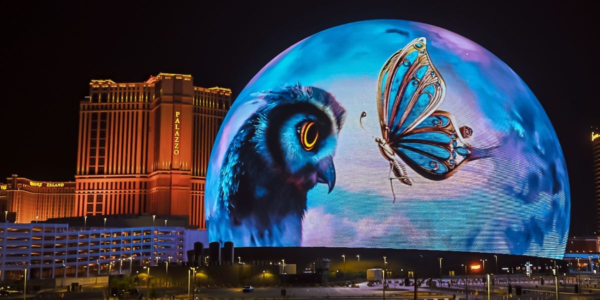 Insomniac and Tomorrowland Join Forces for New UNITY Experience in Las Vegas