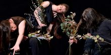 Interview: Amelia Rose Griffin and Liz Winkelaar of Propeller Dance's Discuss SO IT T