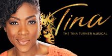 Interview: In TINA: THE TINA TURNER MUSICAL's Carla R. Stewart's Not a Grannie To Mes