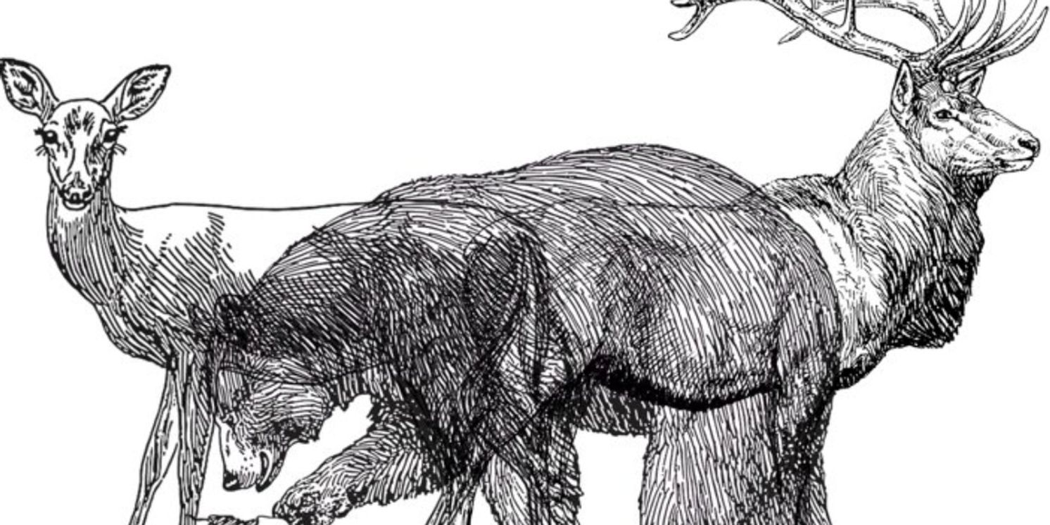 Interview: Francesca DiFrancisco of THE CALL at Shedd Stage  Image