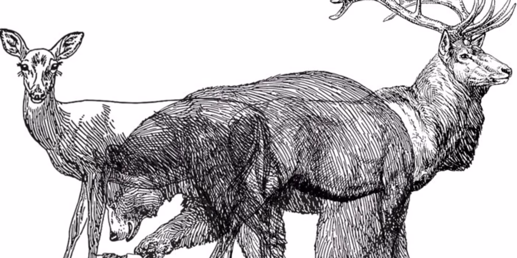 Interview: Francesca DiFrancesco of THE CALL at Shedd Stage