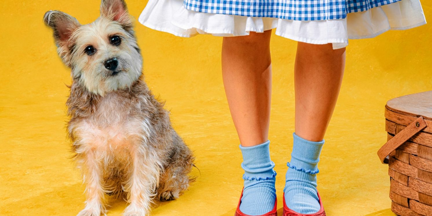 Interview: Jenny Lavery of THE WIZARD OF OZ at San Pedro Playhouse  Image