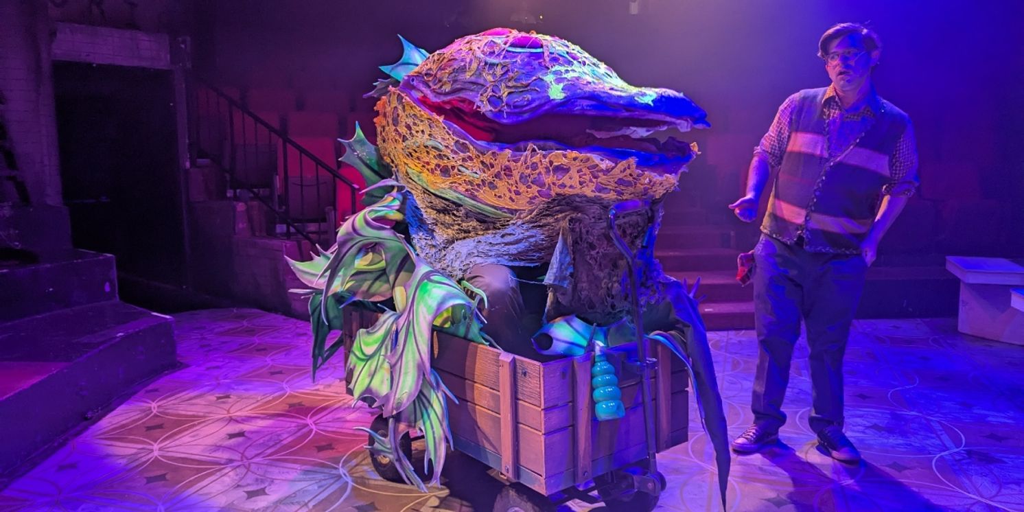 Interview: Justin Meyer on Directing LITTLE SHOP OF HORRORS at The Nocturne Theatre  Image