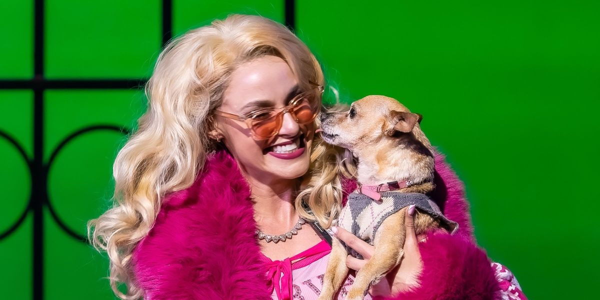 Interview: Kathryn Brunner of LEGALLY BLONDE at Ordway Center For The Performing Arts