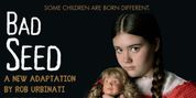 Interview: Matt Golden And Cast of BAD SEED at Oyster Mill Playhouse Photo
