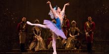 Interview: Lead Ballerina Monica Gomez Shares Insight to the Unique Style and Story o