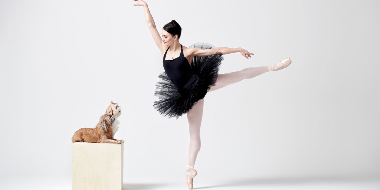 Interview: Ballet Star Sarah Lane Brings DANCE FOR PAWS to Symphony Space  Image