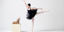 Interview: Ballet Star Sarah Lane Brings DANCE FOR PAWS to Symphony Space