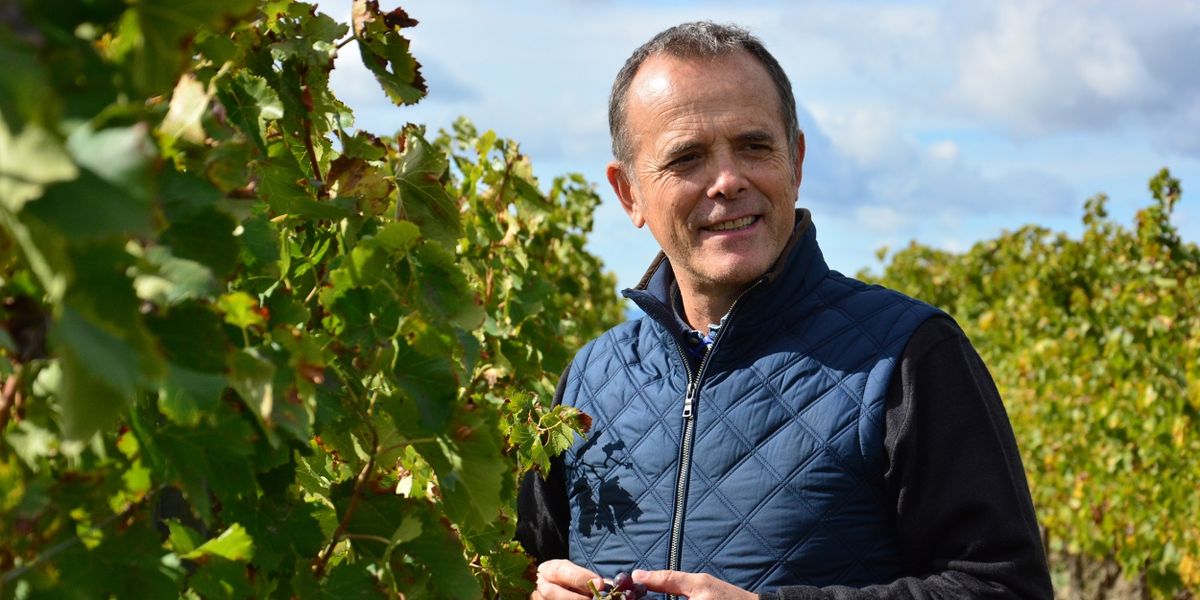 Interview: Stefano Casadei-Winemaker for Famiglia Casadei