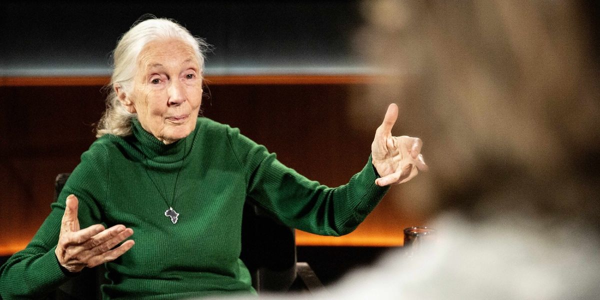Netflix Debuts FAMOUS LAST WORDS Featuring Jane Goodall