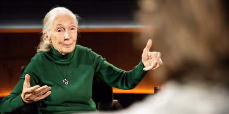 Netflix Debuts FAMOUS LAST WORDS Featuring Jane Goodall Photo