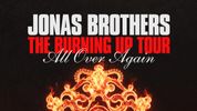 JONAS BROTHERS to Perform in STEAL AN EGG on Roblox Photo