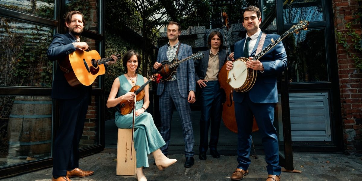 Jacob Collier and Tune-Yards to Join Punch Brothers' ENERGY CURFEW MUSIC HOUR