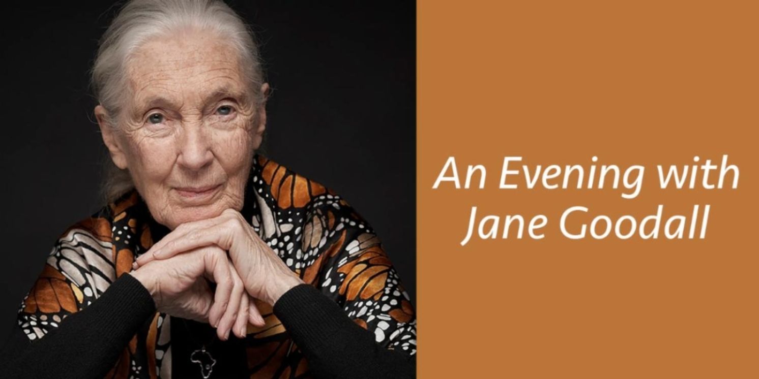 Jane Goodall Is Coming To The Fisher Theatre in September  Image