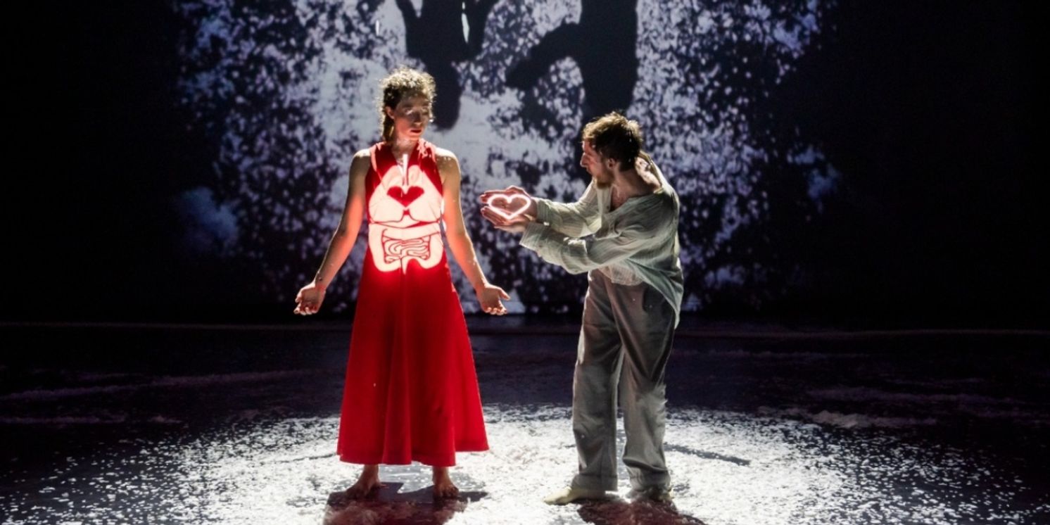 Jasmin Vardimon Company Will Bring NOW to Sadler's Wells East in March  Image