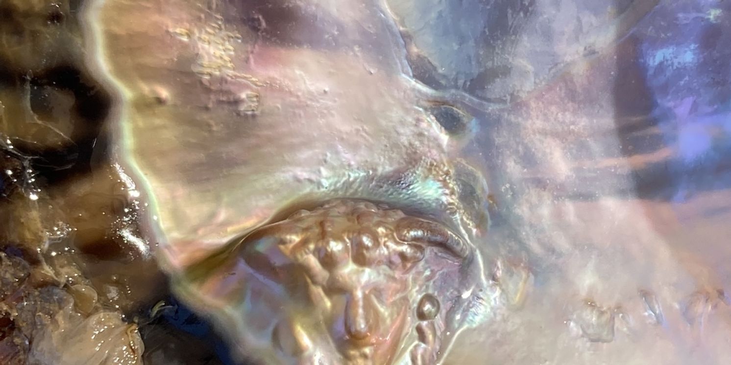 Jenny Kendler's OTHER OF PEARL Opens This June At Governors Island's Historic Fort Jay  Image