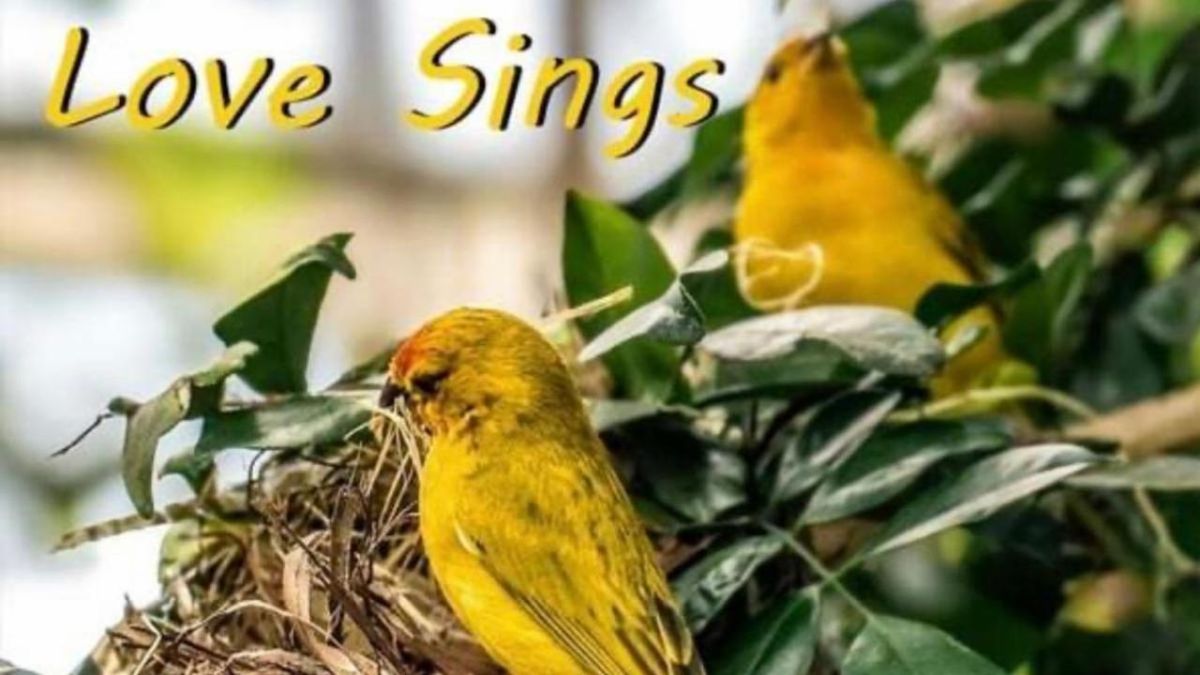 Joan Watson-Jones Releases Fifth Album, LOVE SINGS