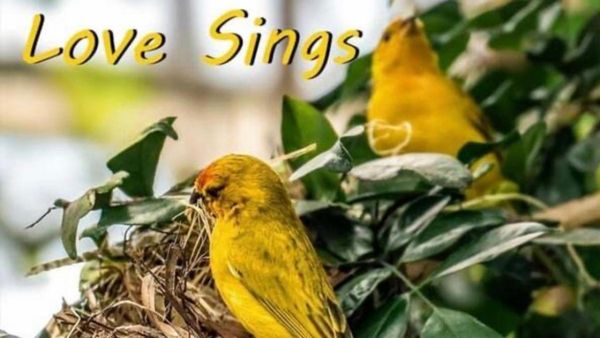 Joan Watson-Jones Releases Fifth Album, LOVE SINGS