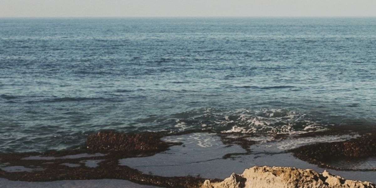 Jordi Savall and Ensemble Will Perform ΜARE NOSTRUM Concert in Greece