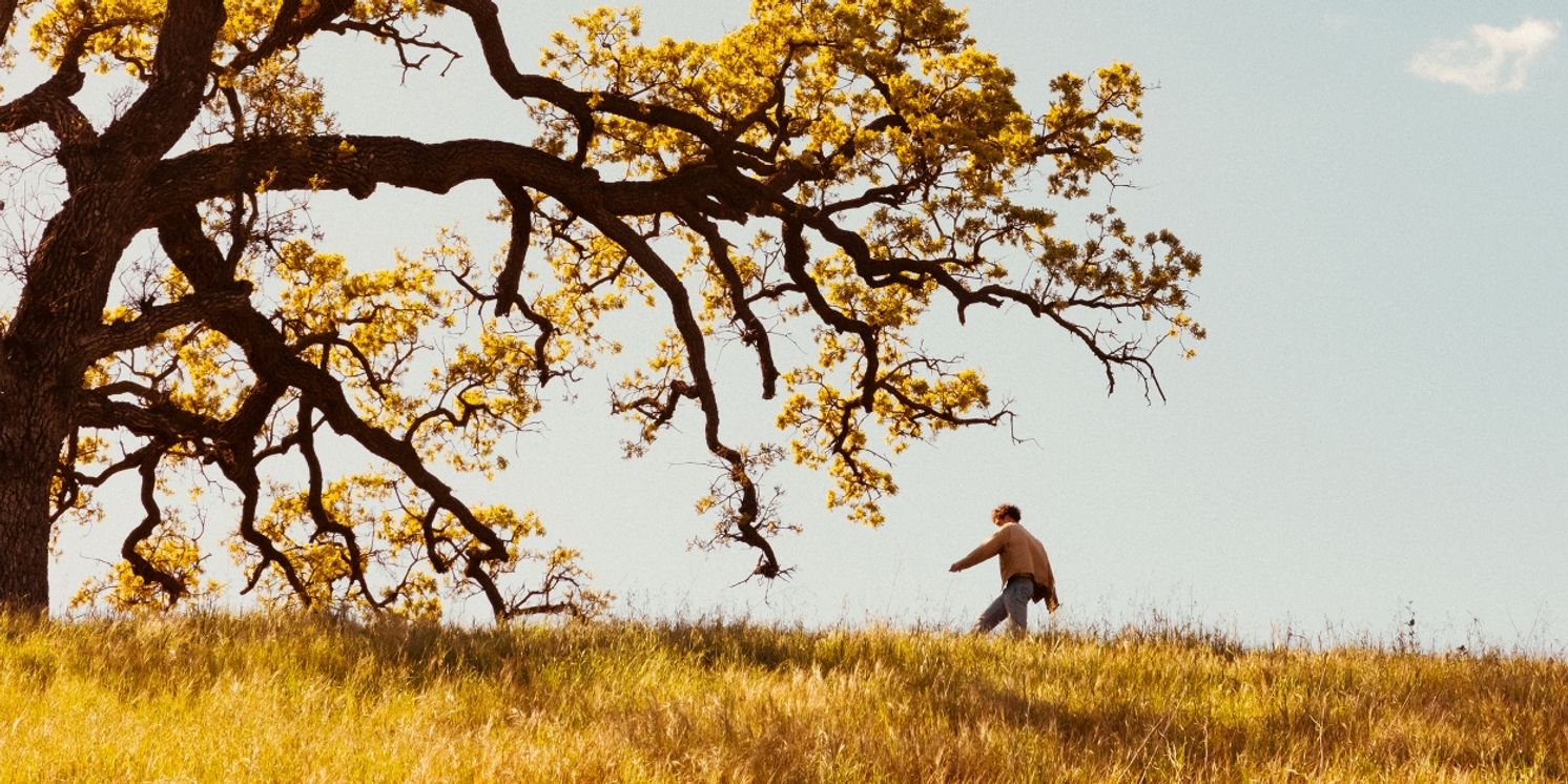 Joshua Bassett Releases Debut Album 'The Golden Years'  Image