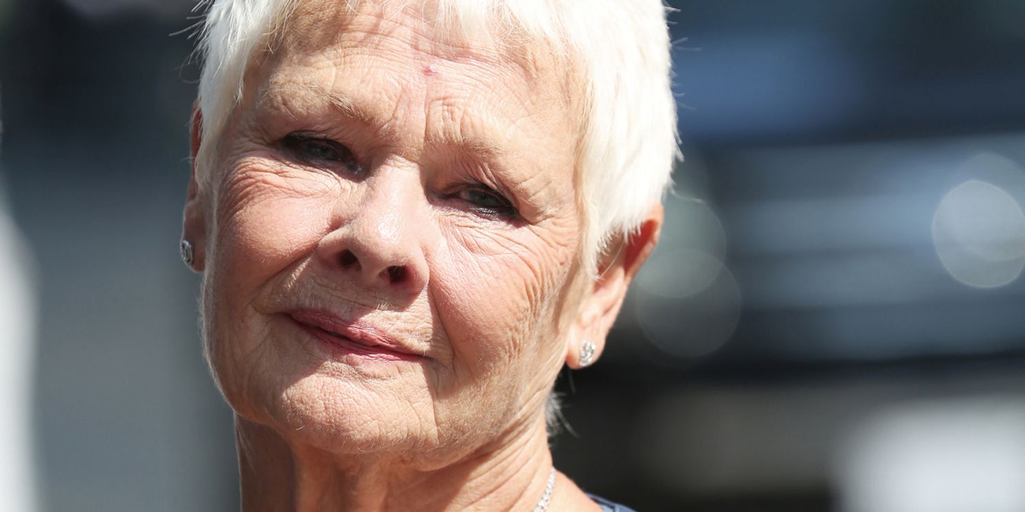 Judi Dench Painting To Be Auctioned For Yvonne Arnaud Theatre Charity Event  Image